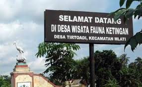 Pemandu wisata